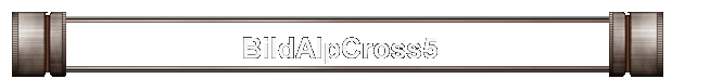 BildAlpCross5